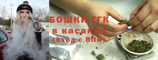 хмурый Каменногорск