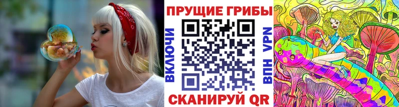 Галлюциногенные грибы мухоморы  мега ТОР  Усть-Лабинск 